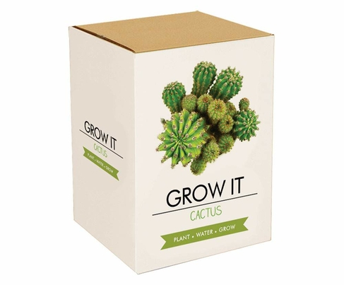 Cactus Grow It
