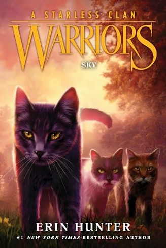 Warriors: A Starless Clan #2: Sky: (Warriors: A Starless Clan 2)