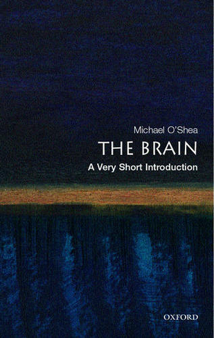 The Brain: A Very Short Introduction: (Very Short Introductions)
