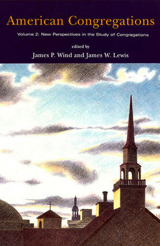 American Congregations: v. 2 New Perspectives in the Study of Congregations (New edition)