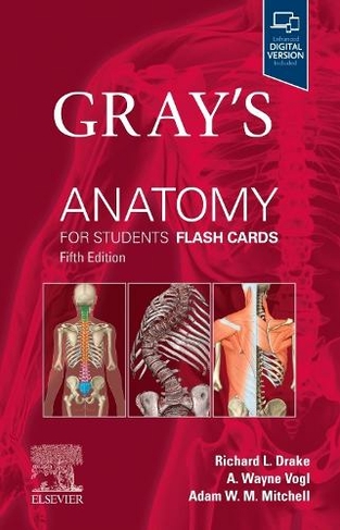 Gray's Anatomy for Students Flash Cards: (Gray's Anatomy 5th edition)