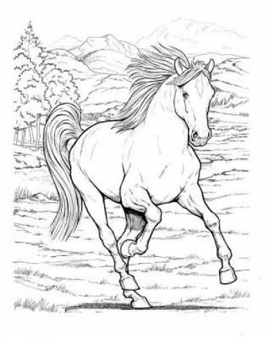 Wonderful World of Horses Coloring Book: (Dover Nature Coloring Book)