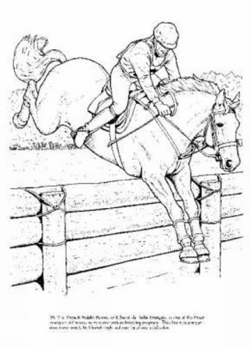 Big Book of Horses to Color: (Dover Nature Coloring Book)