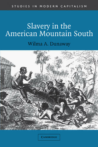 Slavery in the American Mountain South: (Studies in Modern Capitalism)