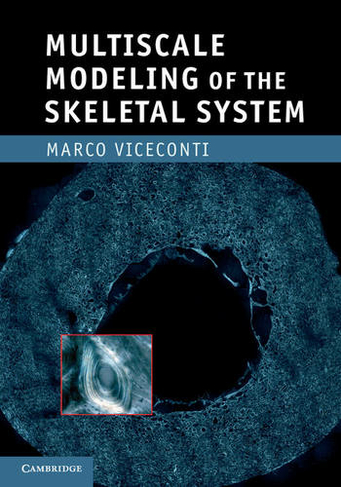 Multiscale Modeling of the Skeletal System