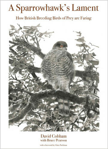 A Sparrowhawk's Lament: How British Breeding Birds of Prey Are Faring (WILDGuides)