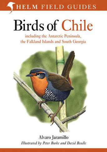 Birds of Chile: (Helm Field Guides)