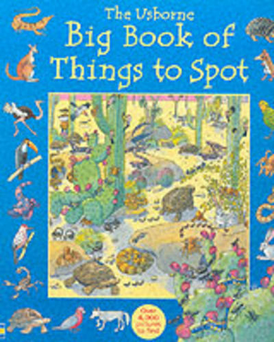 Big Book of Things to Spot: (1001 Things to Spot)