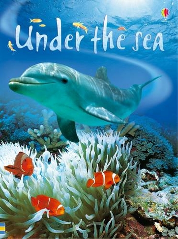 Under the Sea: (Beginners)