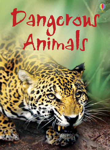 Dangerous Animals: (Beginners)