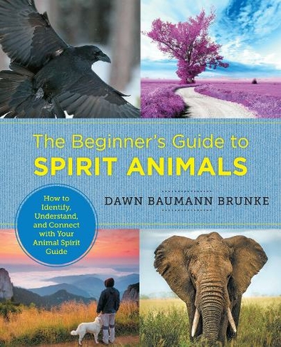 The Beginner's Guide to Spirit Animals: How to Identify, Understand, and Connect with Your Animal Spirit Guide (New Shoe Press)