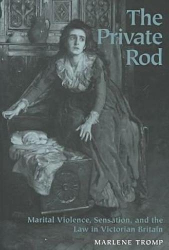 The Private Rod: Marital Violence, Sensation and the Law in Victorian Britain (Victorian Literature & Culture)