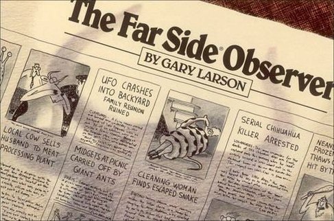 The Far Side (R) Observer: (Far Side)