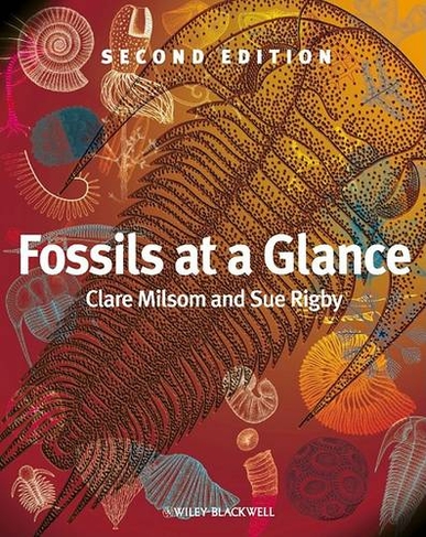 Fossils at a Glance: (2nd edition)