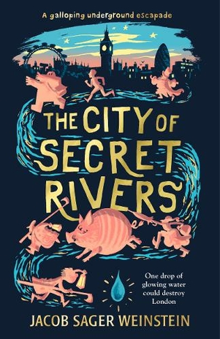 The City of Secret Rivers: (City of Secret Rivers)