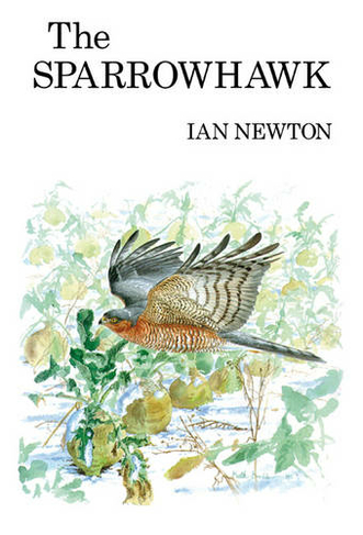 The Sparrowhawk: (Poyser Monographs)
