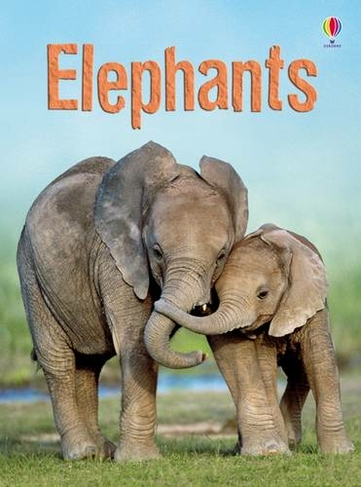 Elephants: (Beginners)