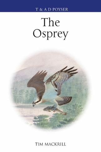 The Osprey: (Poyser Monographs)