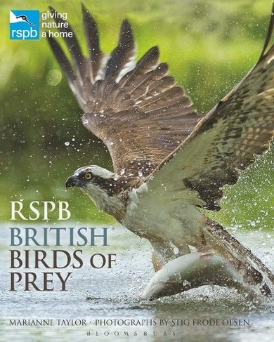 RSPB British Birds of Prey: (RSPB)