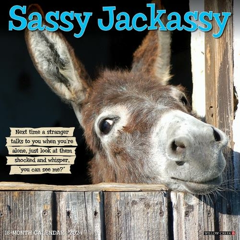 Sassy Jackassy 2024 12 X 12 Wall Calendar