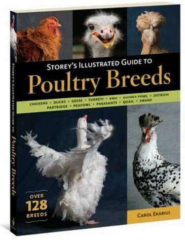 Storey's Illustrated Guide to Poultry Breeds: Chickens, Ducks, Geese, Turkeys, Emus, Guinea Fowl, Ostriches, Partridges, Peafowl, Pheasants, Quails, Swans