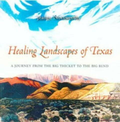 Healing Landscapes of Texas: A Journey from the Big Thicket to the Big Bend (Joe & Betty Moore Texas Art Series)