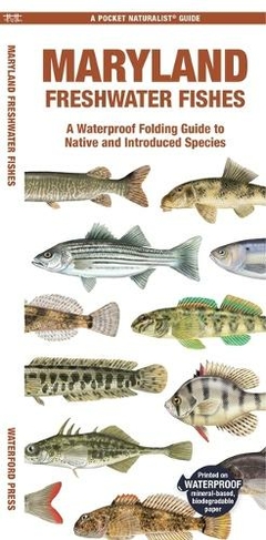 Maryland Freshwater Fishes: A Waterproof Folding Guide to Native and Introduced Species (Pocket Naturalist Guide)