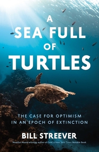 A Sea Full of Turtles: The Search for Optimism in an Epoch of Extinction