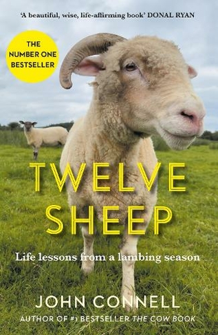 Twelve Sheep: Life lessons from a lambing season (Main)