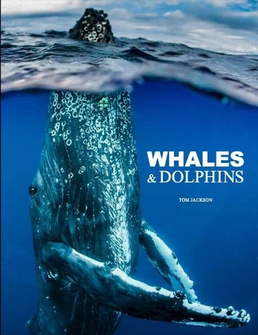 Whales & Dolphins: (Animals)