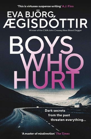 Boys Who Hurt: (Forbidden Iceland 5)