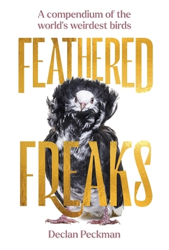 Feathered Freaks: A compendium of the world's weirdest birds