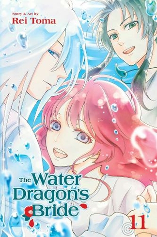 The Water Dragon's Bride, Vol. 11: (The Water Dragon's Bride 11)