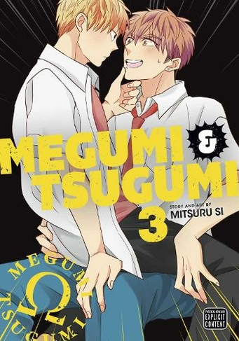 Megumi & Tsugumi, Vol. 3: (Megumi & Tsugumi 3)