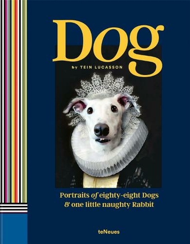 Dog: Portraits of Eighty-Eight Dogs and One Little Naughty Rabbit (Eighty-eight)