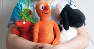 Character soft toys