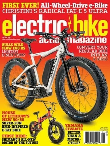 Electric Bike Action
