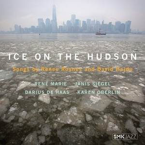 Ice On the Hudson
