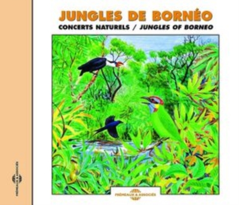 Birds of the Jungles of Borneo