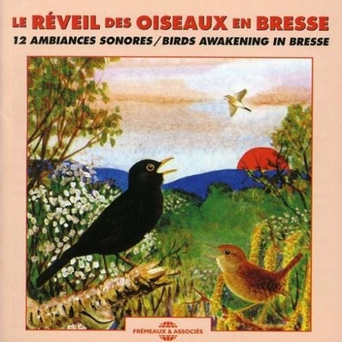 Dawn Chorus - Birds Awakening in Bresse