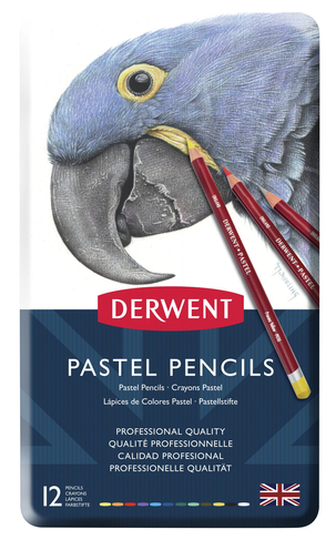 Derwent Professional Pastel Pencils (Pack of 12)