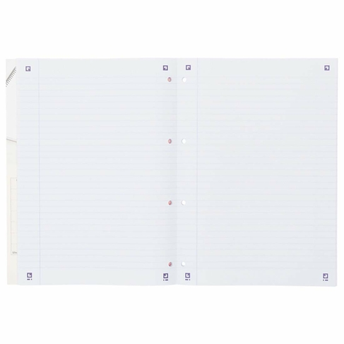 Oxford Campus A4 Sidebound Refill Pad Ruled Ruled with Margin 300