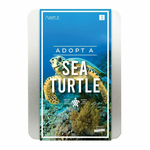 Adopt A Sea Turtle Gift Set