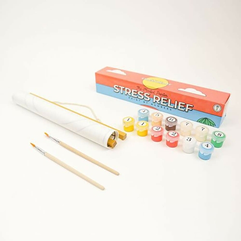 Gift Republic Mindful Painter Stress Relief Painting Kit