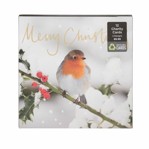 WHSmith Robins On Branch Recyclable Christmas Card Pack of 12