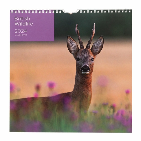 WHSmith British Wildlife Square 2024 Calendar
