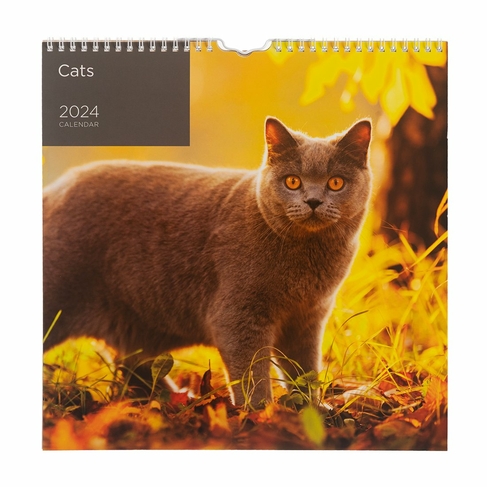 WHSmith Cats 2024 Calendar
