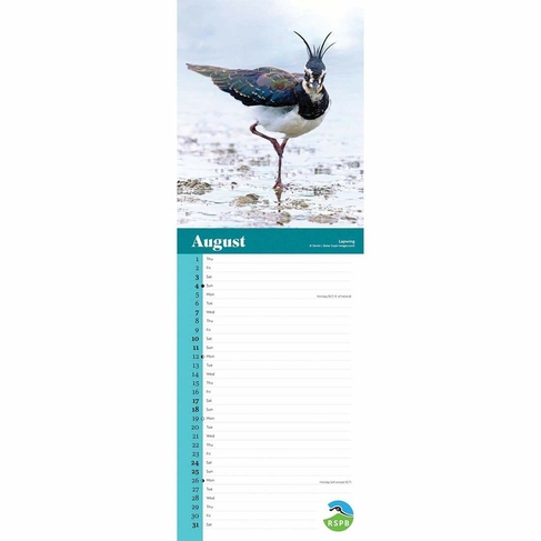 RSPB Birds 2024 Calendar