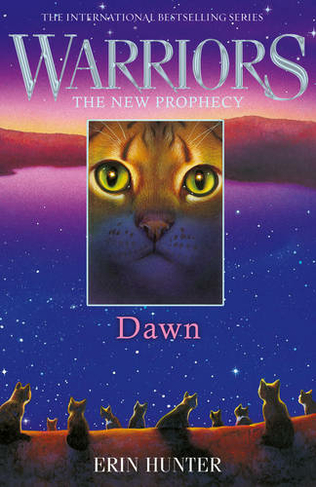 DAWN: (Warriors: The New Prophecy Book 3)