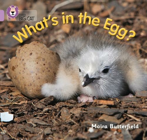 What's in the Egg?: Band 00/Lilac (Collins Big Cat)